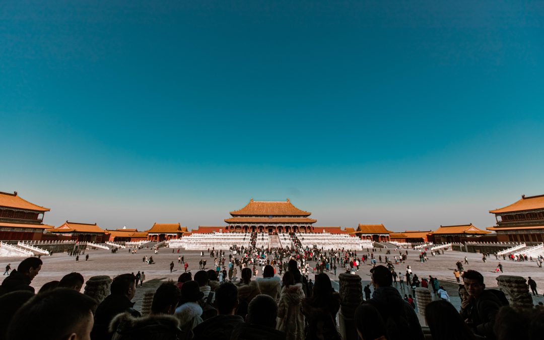 Market Dynamics: How Wholesale in China Transforms Your Company’s Success Story