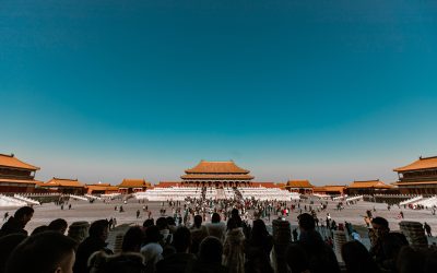 Market Dynamics: How Wholesale in China Transforms Your Company’s Success Story