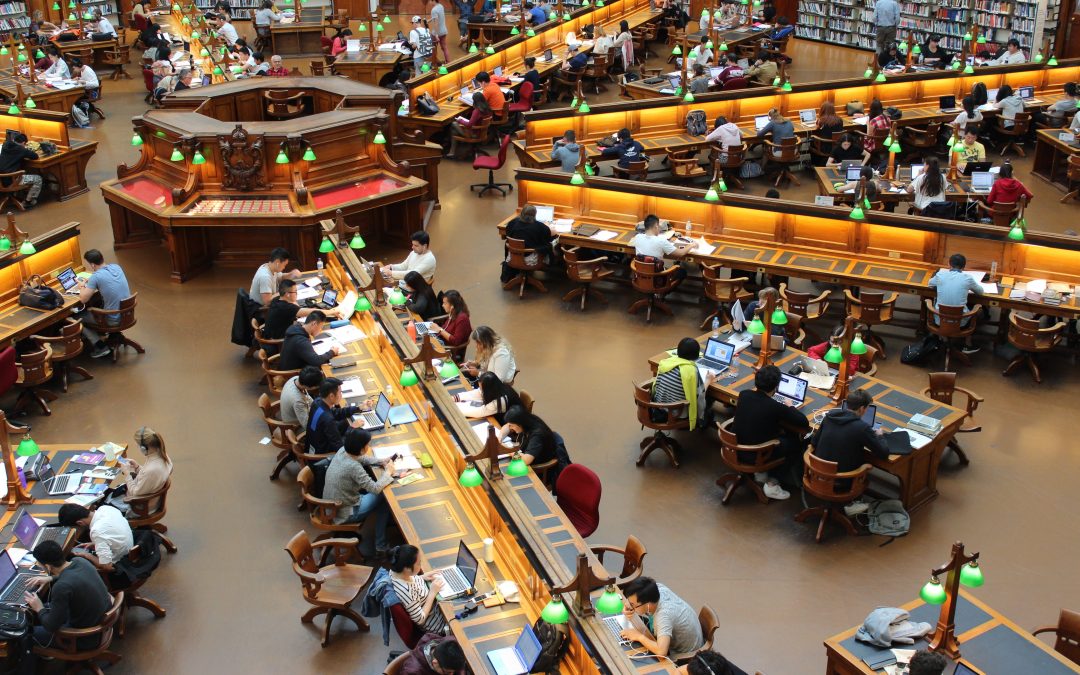 Measuring Educational ROI: A Financial Perspective