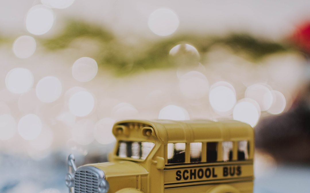 Accounting for School Transportation Costs: Optimization Strategies