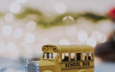 Accounting for School Transportation Costs: Optimization Strategies