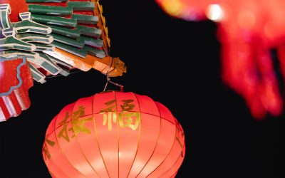 The Real China Chronicles: Scaling Your Business Beyond Your Borders