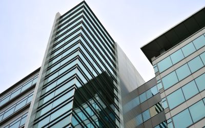 Crucial Compliance: Why Regular Company Registration Numbers Check Is Essential in China