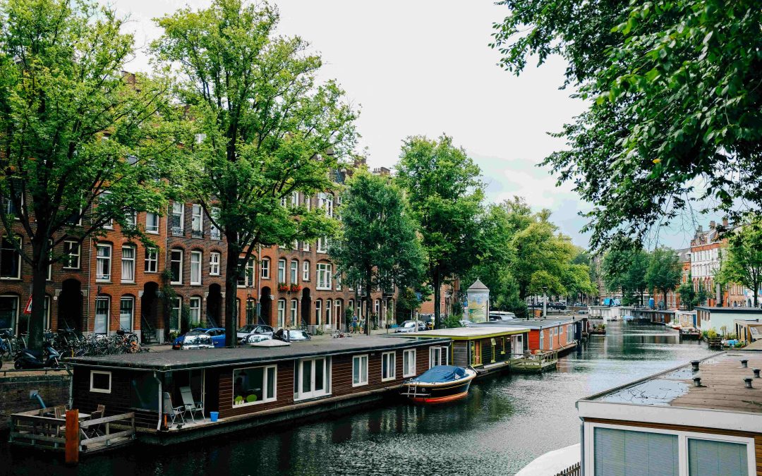 The Ultimate Guide to Successful Rental Property Management: Expert Tips for Landlords
