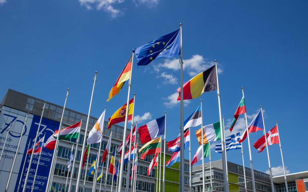 Navigating EU Trade: When to Register for EU One-Stop-Shop Regulation