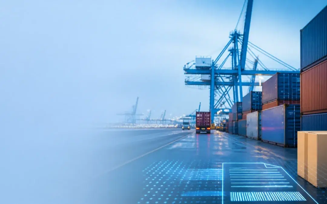 USA Tax Update (August 2026): De Minimis Ruling Upheld & New Importer of Record Rules for International Sellers