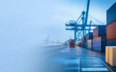 Usa Tax Update (August 2026): De Minimis Ruling Upheld & New Importer Of Record Rules For International Sellers